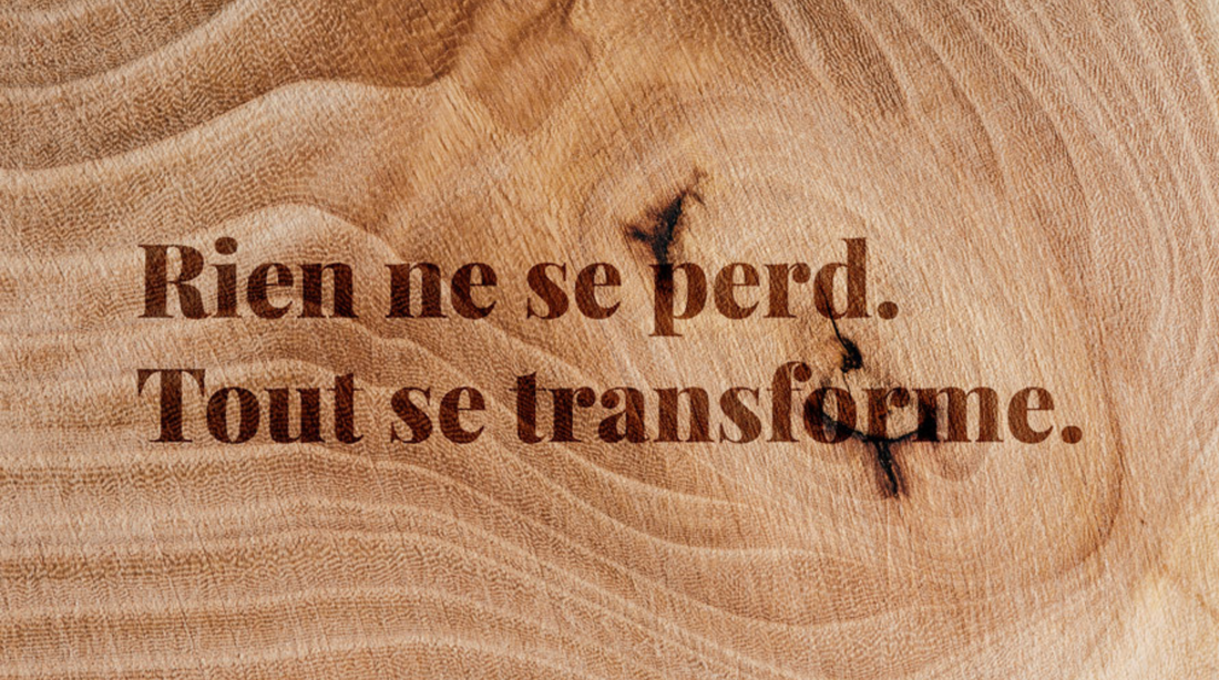 Quand le bois retrouve une seconde vie