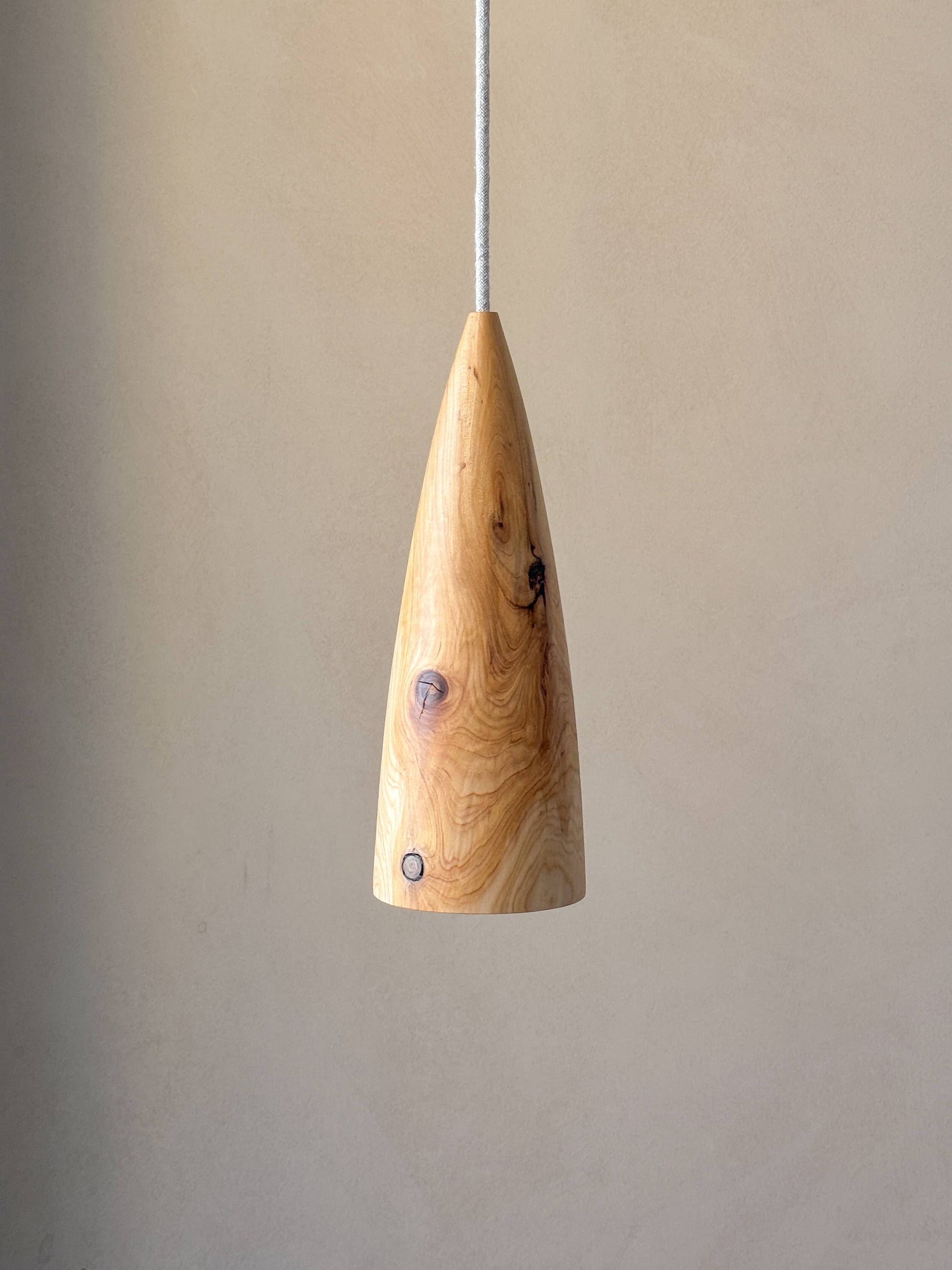 Une lampe en bois suspendue.