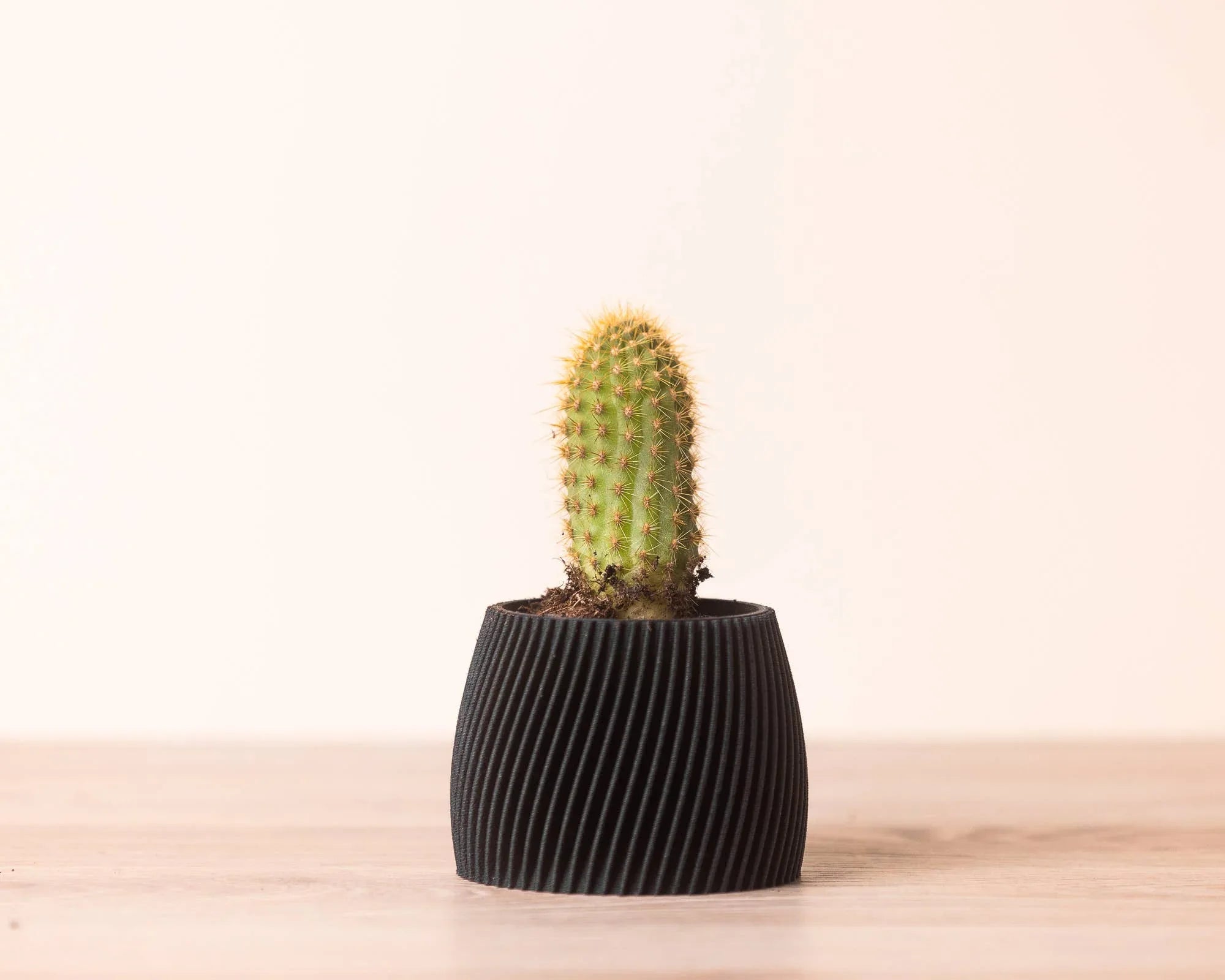 Pot pour plante noir, avec un cactus à l'intérieur.
