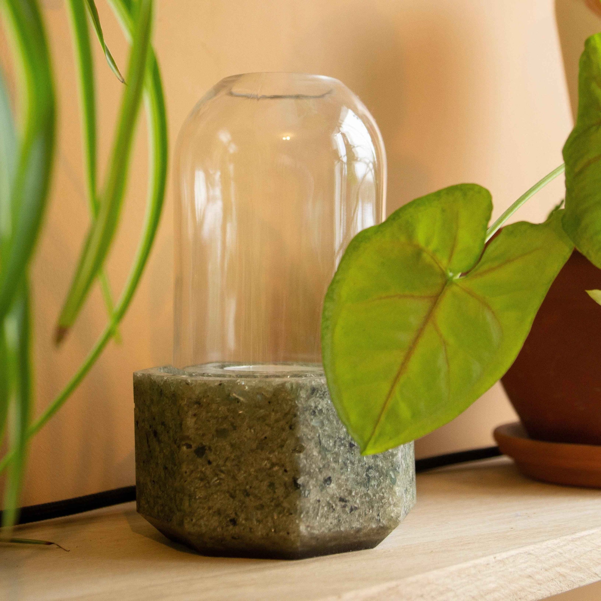Photophore en verre avec cloche en verre posé sur étagère, objet déco naturel entouré de plantes vertes.