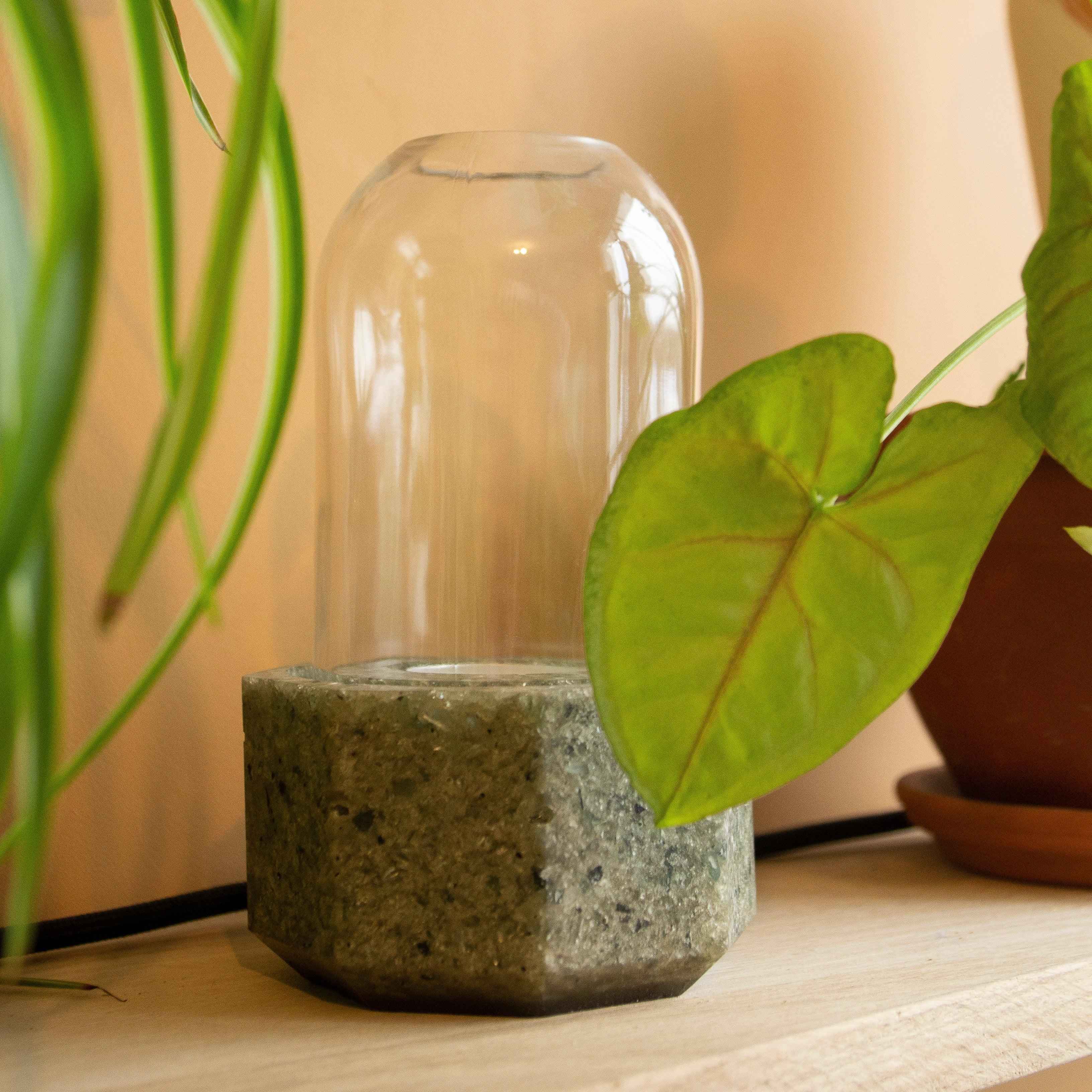 Photophore en verre avec cloche en verre posé sur étagère, objet déco naturel entouré de plantes vertes.
